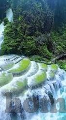 91视频 麻豆-重塑网络文化视野，探讨91视频与麻豆现象的多元化解读