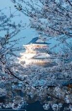 大象传媒旧版下载安卓-探索大象传媒旧版在安卓平台上的时光印记