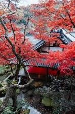 欧美日韩精品一区二区-探索全球文化娱乐的多元视角，欧美与日韩精品一区二区的艺术魅力