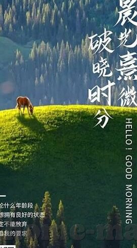 糖心vlog官网破解版-糖心Vlog官网新发现，解锁小众视频分享的无限可能