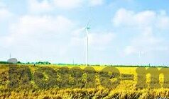 糖心vlog免费入口-享受甜蜜瞬间，探秘糖心Vlog免费入口之旅